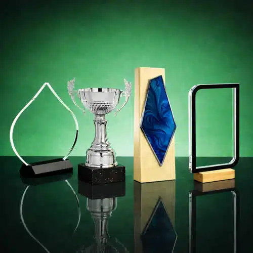 Troféu de Reconhecimento Personalizado de Carreira